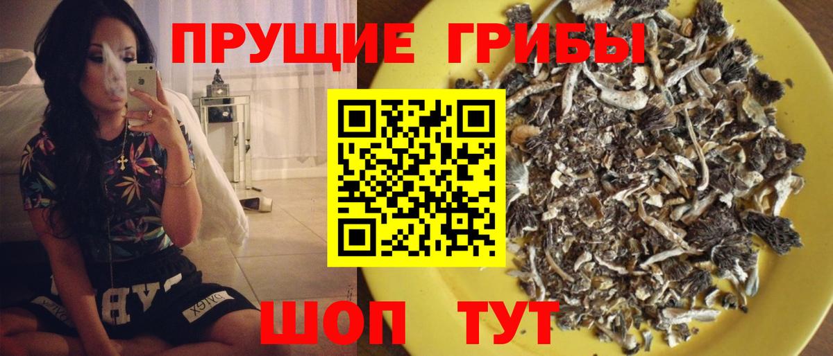Псилоцибиновые грибы Magic Shrooms  Вход с VPN  купить наркотик  Псилоцибиновые грибы Psilocybe  Ухта 