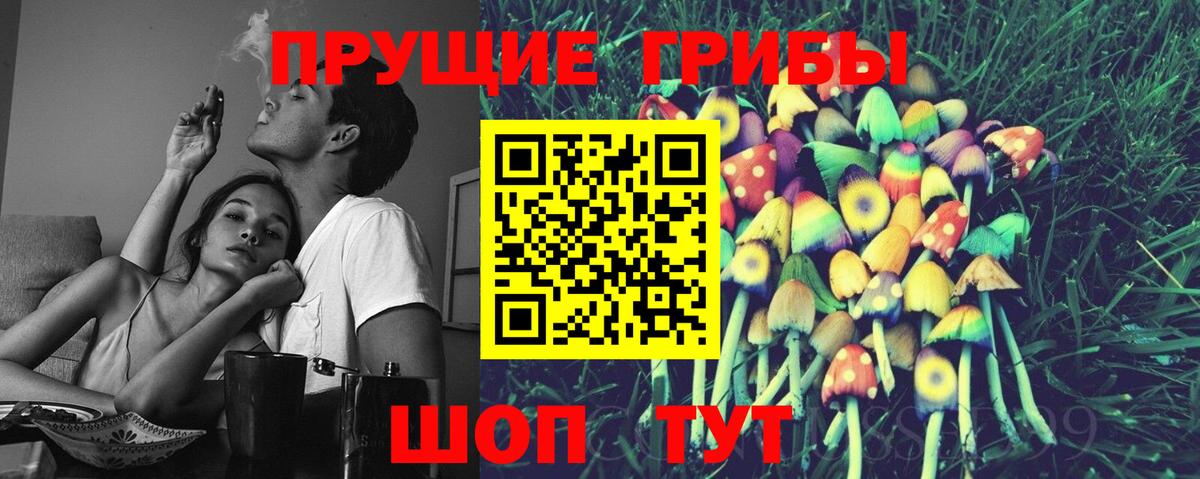 Галлюциногенные грибы Psilocybine cubensis Ухта